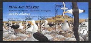 Selos fauna Falklan Island 2003