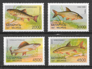 colección sellos fauna Bielorrusia 1997