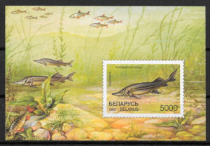 colección sellos fauna Bielorrusia 1997