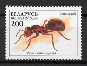 sellos fauna Bielorrusia 2002