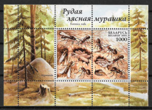 sellos fauna Bielorrusia 2002