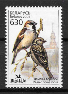 selos fauna Bielorrusia 2003