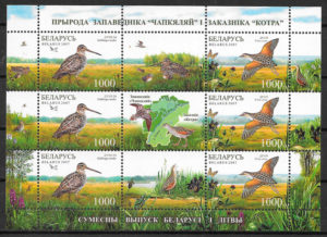 sellos fauna Bielorrusia 2007