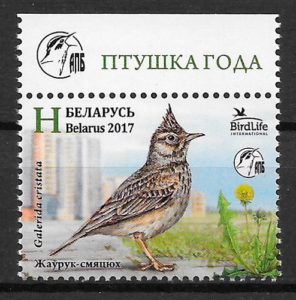 sellos fauna Bielorrusia 2017