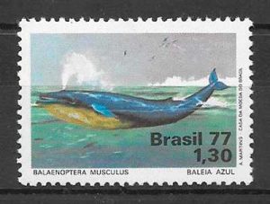 sellos fauna Brasil 1977