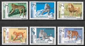 coleccion sellos fauna Rumania 2000