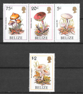 filatelia colección setas Belice 1986