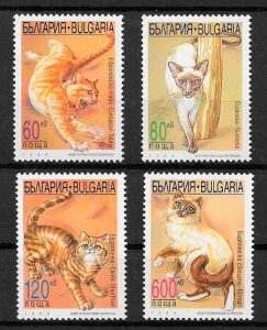 filatelia colección gatos y perros de Bulgaria 1998