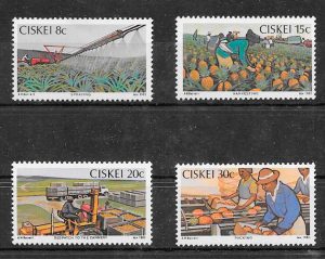 filatelia colección frutas Ciskei 1982