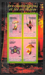 filatelia colección setas Congo 2007