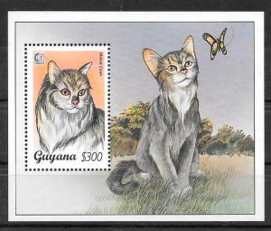 filatelia colección gatos y perros Guyana 1995