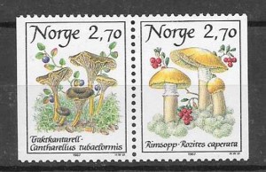 flora - setas Noruega 1987