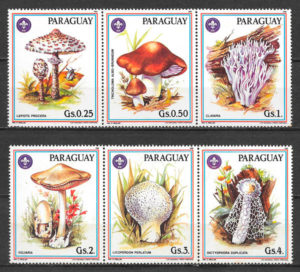 colección sellos Paraguay setas 1985