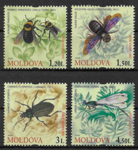 selos fauna Moldavia 2009