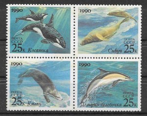 fauna marina Rusia 1990