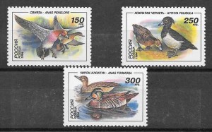 fauna patos Rusia 1994