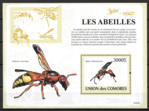 colección sellos fauna Comores 2009