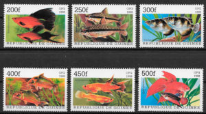 filatelia colección fauna Guinea 1998