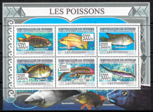 colección sellos fauna Guinea 2009