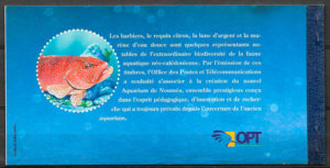 selos fauna Nueva Caledonia 2006