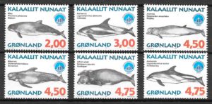 sellos fauna Groenlandia 1998