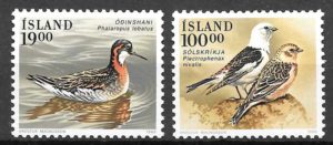 sellos fauna Islandia 1989